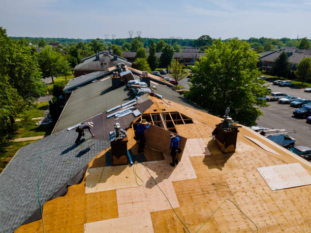 Best Roof Gutter Cleaning  in Woods Hole, MA